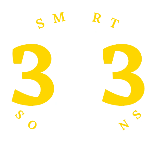 313 Smart Solutions