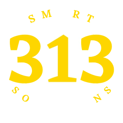 313 Smart Solutions